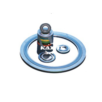 စံခရုဒဏ်ရာများ Gasket
